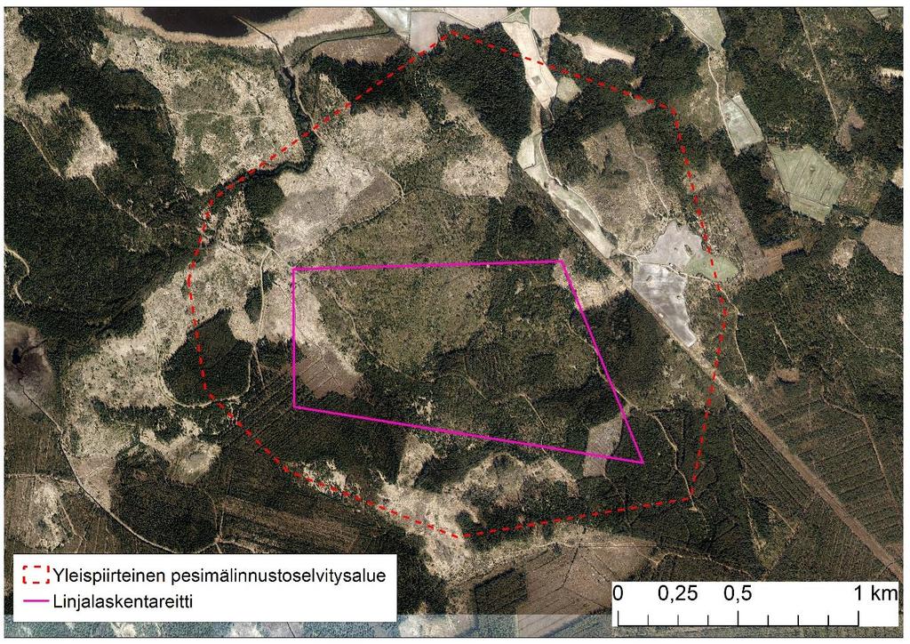 2. MENETELMÄT Selvitysalueella pesimälinnustoa kartoitettiin 29.5.2015 aamun ja aamupäivän aikana linjalaskentamenetelmällä, jolloin lintujen lauluaktiivisuus on yleisesti korkeimmillaan.