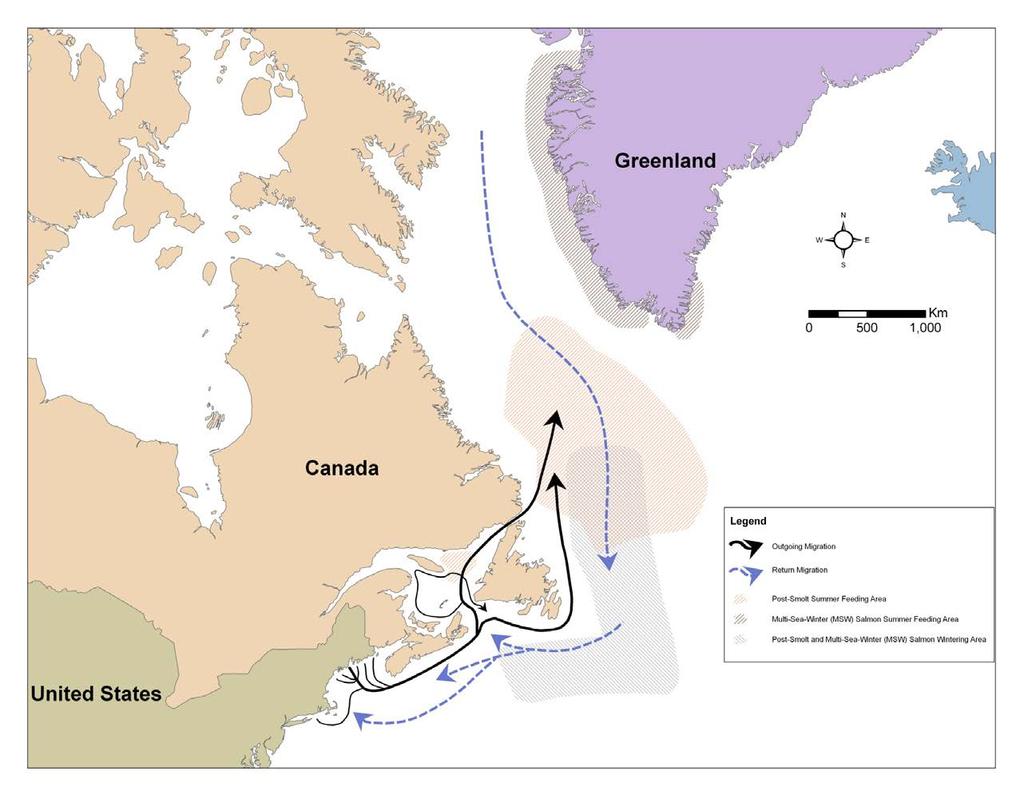 U.S. Department of Commerce National Oceanic and