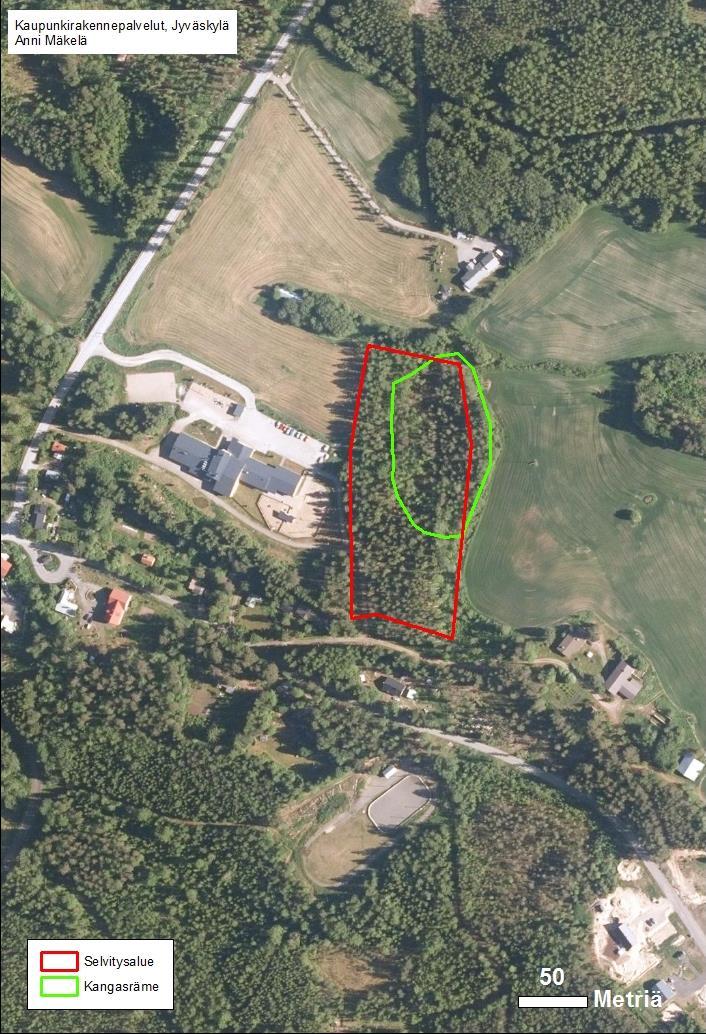 3.2 Uhanalaiset tai muut huomionarvoiset lajit Alueelta ei havaittu liito-oravan pesiä, eikä kuusten tai haapojen tyviltä tehty jätöshavaintoja. Myöskään muita huomionarvoisia lajeja ei havaittu. 4.