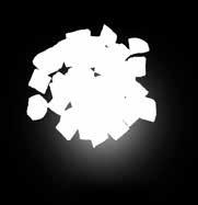 245010/363762/8011416