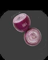 Purjorengas 248531/496422/8005717 199893/20022173