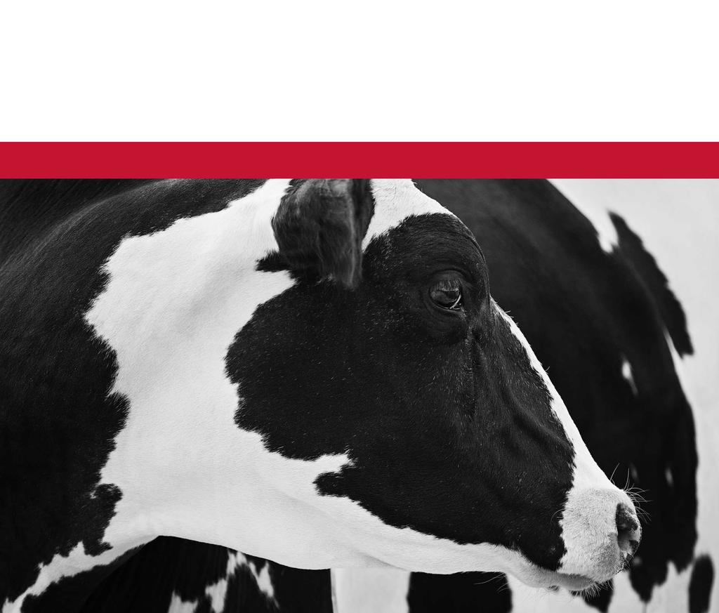 Semex