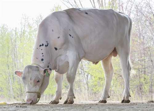 Takeoff PROGENESIS TAKEOFF 0200HO10701 ELUDE x 5G x EPIC SILVERRIDGE V ELUDE PROGENESIS 5G KARLY MR LOOKOUT PESCE 5G LOOKOUT PESCE PONDE KARLA GENERVATIONS EPIC MS C-HAVEN OMAN KOOL VG-88-6YR-CAN 7*