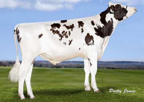 Agent-Red SIEMERS AGENT-RED 0200HO10502 OLYMPIAN *RC x MOGUL x SHOTTLE LADYS-MANOR OLYMPIAN *RC SIEMERS MOGUL APPLE-STAR EX-91-4YR-USA MOUNTFIELD SSI DCY MOGUL MS APPLES AZALEA EX-91-3YR-USA PICSTON