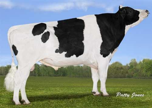 JK EDER-I CONTROL 0200HO03829 SNOWMAN x BOLTON x SHOTTLE GLPI +2984 PRO$ 1706 ST DPF BLF BYF CVF Rek #: HOCANM11278908 aaa: 234156 DMS: 345 Kappakaseiini: AA
