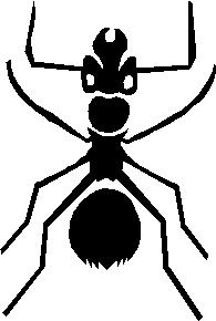 12 Mittakaava 1,6 km. Vastaus: Matka on 1,6 km pitkä. Esimerkki 2 Lasketaan muurahaisen todellinen koko, kun kuva on mittakaavassa 6 : 1.