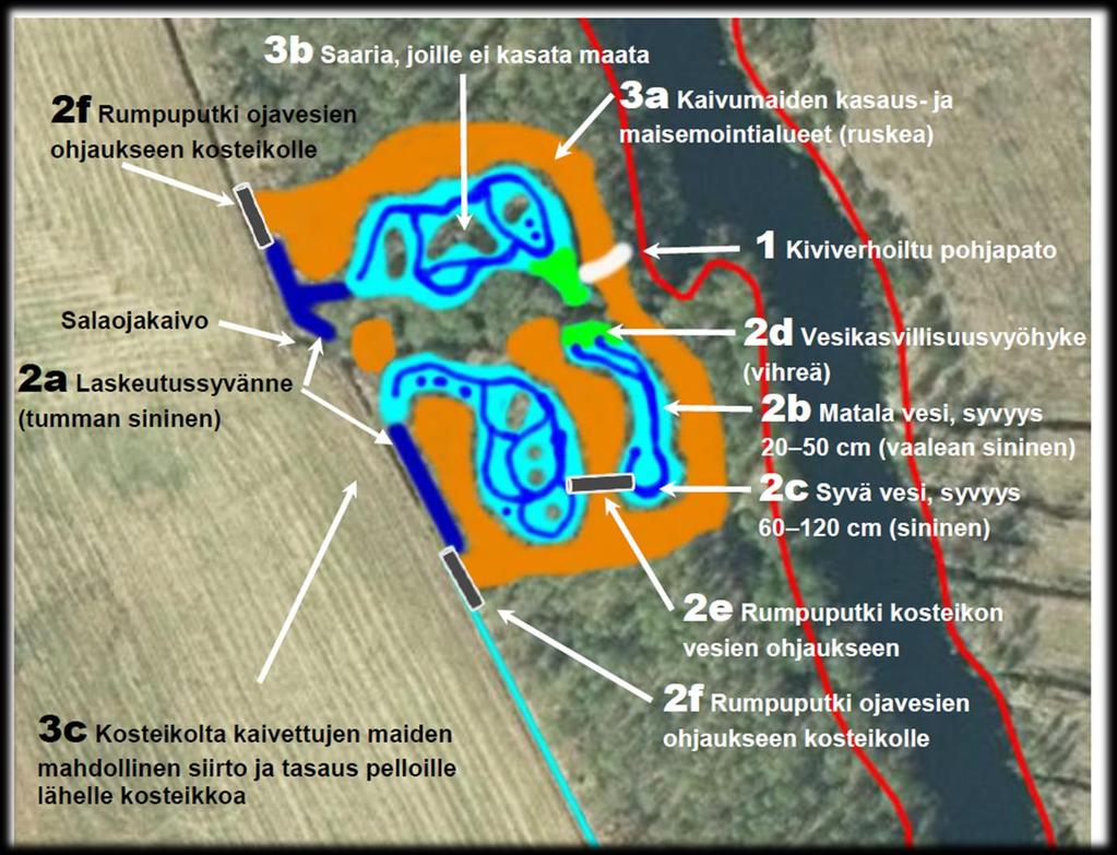 Tekninen suunnitelma Kosteikko: Syvänteet (kosteikon alussa) Niemekkeet Saarekkeet Patorakenteet