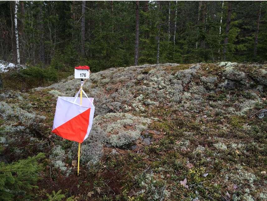 4 JoukkuePeimari Joukkueeseen voi kuulua 3-4 jäsentä, joista huomioidaan joka kerralla 3 parasta suoritusta pistelaskentaan.