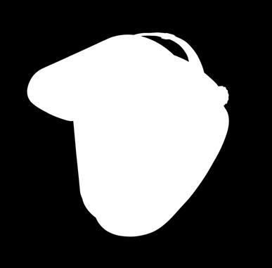 ilmansyöttöjärjestelmää Hitsausmaski CA-28 Euromaski, tummuus 1,7 + 10, 40 28 01 ei sis. ilmansyöttöjärjestelmää Hitsausmaski CA-28 Euromaski, tummuus 3 + 8, 40 28 02 ei sis.