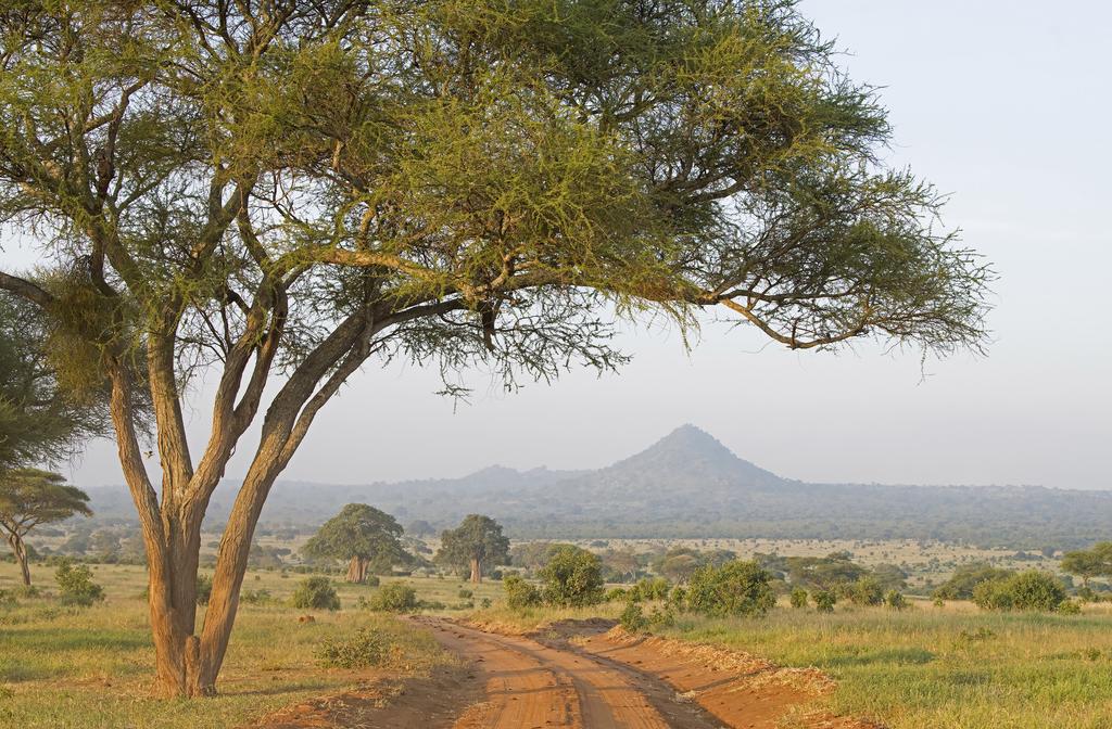 Suomen Kuvausmatkat Oy Tansanian Suursafari Serengeti, Ndutu, Tarangire & Ngorongoro 20