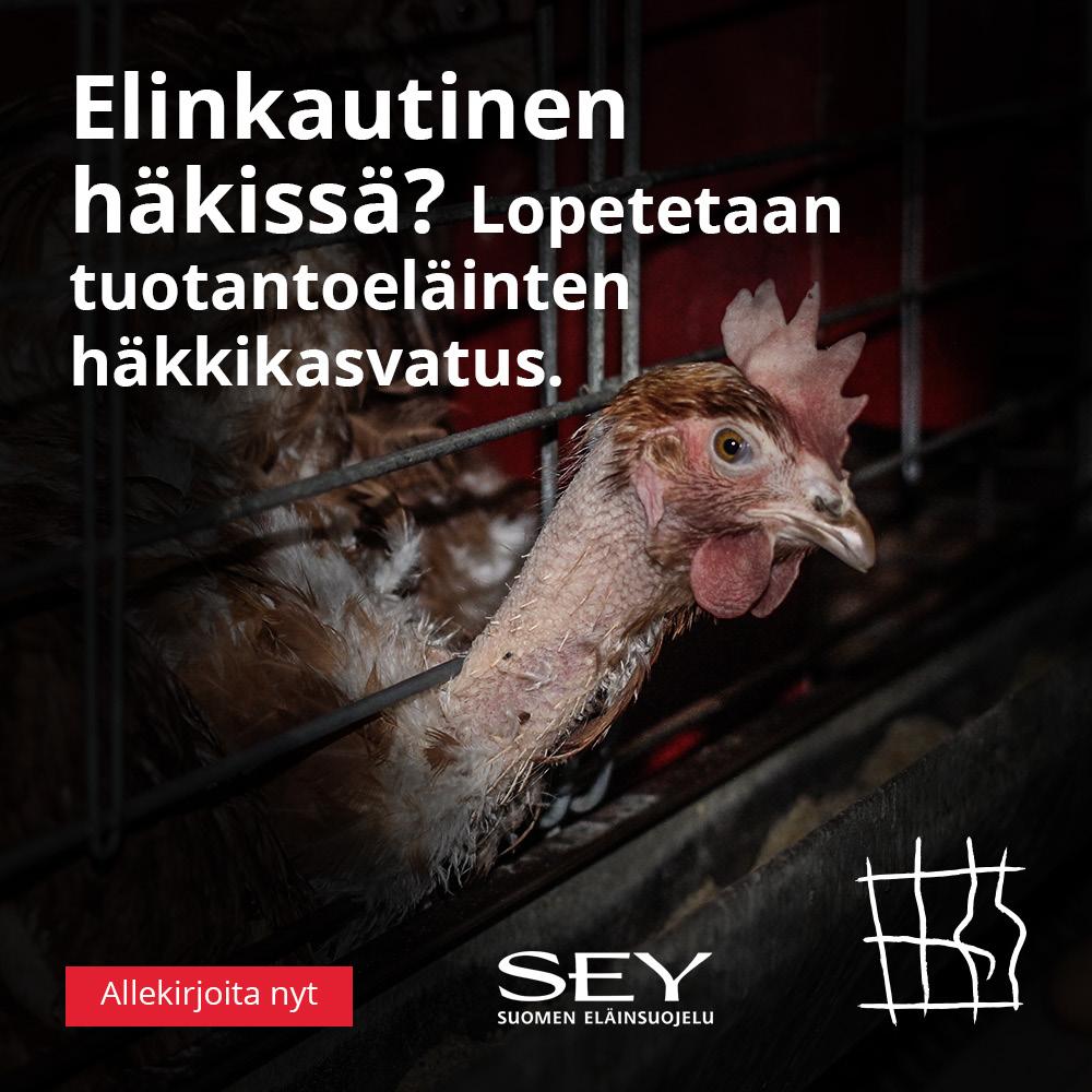 SEY årsberättelse 8 SEY FÖRDE KAMPANJ FÖR KATTERS VÄL För att lösa kattkrisen och höja på kattens status lanserade SEY tillsammans med marknadsföringsbyrån Dingle kampanjen #MIAUtoo, genom vilken vi