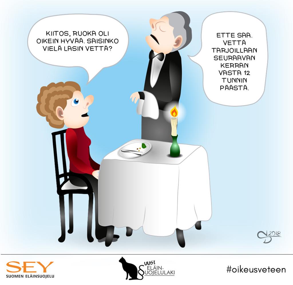 SEY vuosikertomus 8 rouva Jenni Haukiolle.