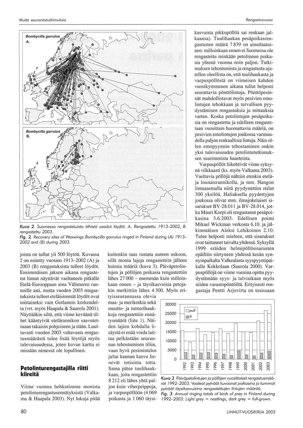 Kuva 2. Suomessa rengastetuista tilhistä saadut löydöt. A. Rengastettu 93-22, B. rengastettu 23. Fig. 2. Recovery sites of Waxwings Bombycilla garrulus ringed in Finland during (A) 93-22 and (8) during 23.