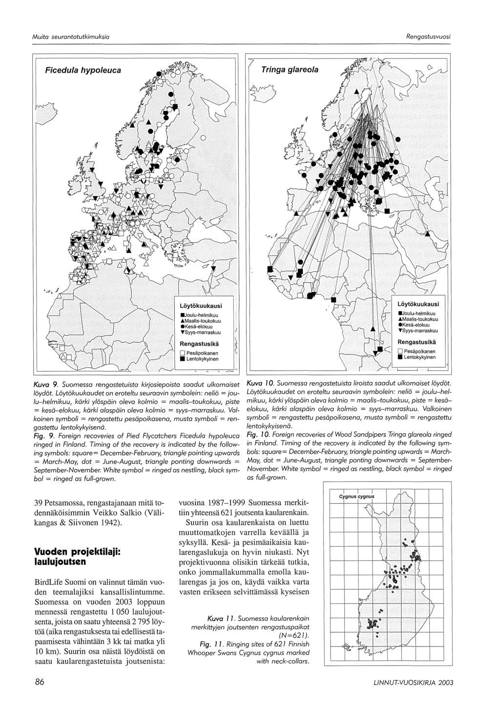 Rengastusvuasi Ficedu/a hypoleuca Tringa g/areo/a Kuva 9. Suomessa rengastetuista kirjosiepoista saadut ulkomaiset löydöt.
