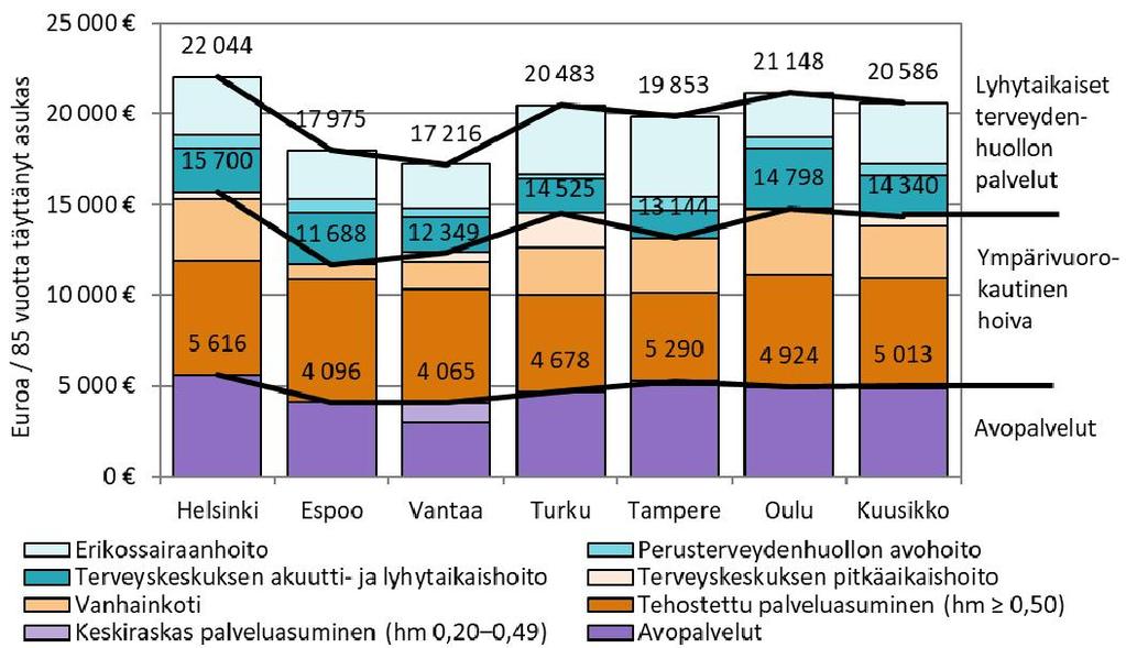 Sosiaali- ja terveydenhuollon palvelujen kustannukset 85 vuotta