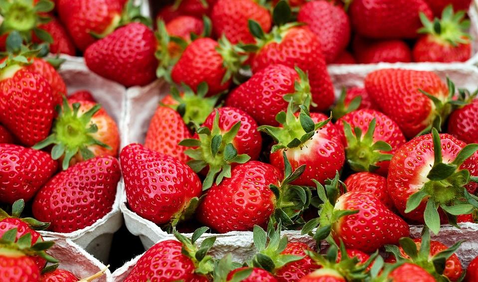 3 Mansikkahillo / marjakastike jäätelölle Marjoja / mansikkaa 550 g Sokeria 250 g Tärkkelyssiirappia 100 g Hunajaa 100 g LBG (E 410) 4 g Pektiiniä 2 g 1. Punnitse marjat kattilaan ja kuumenna 2.