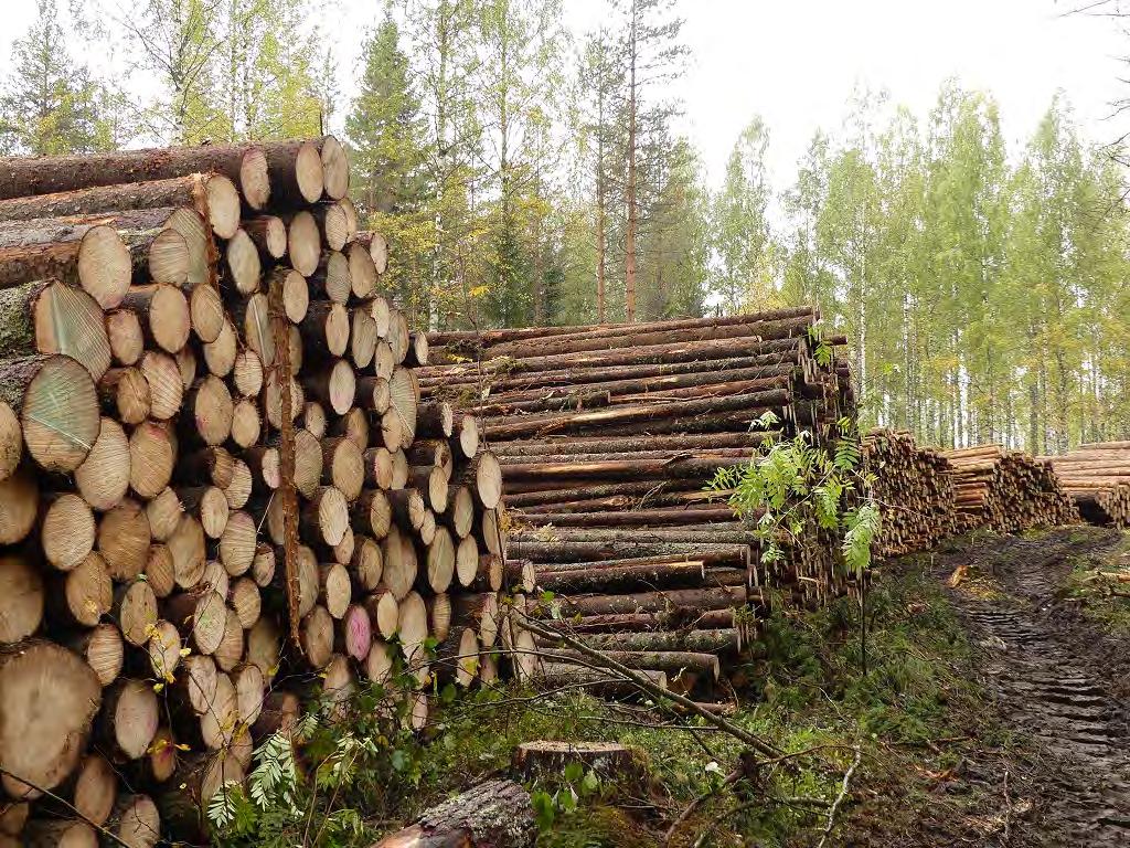 Viemme etenkin kuitupuuta muihin maakuntiin milj.