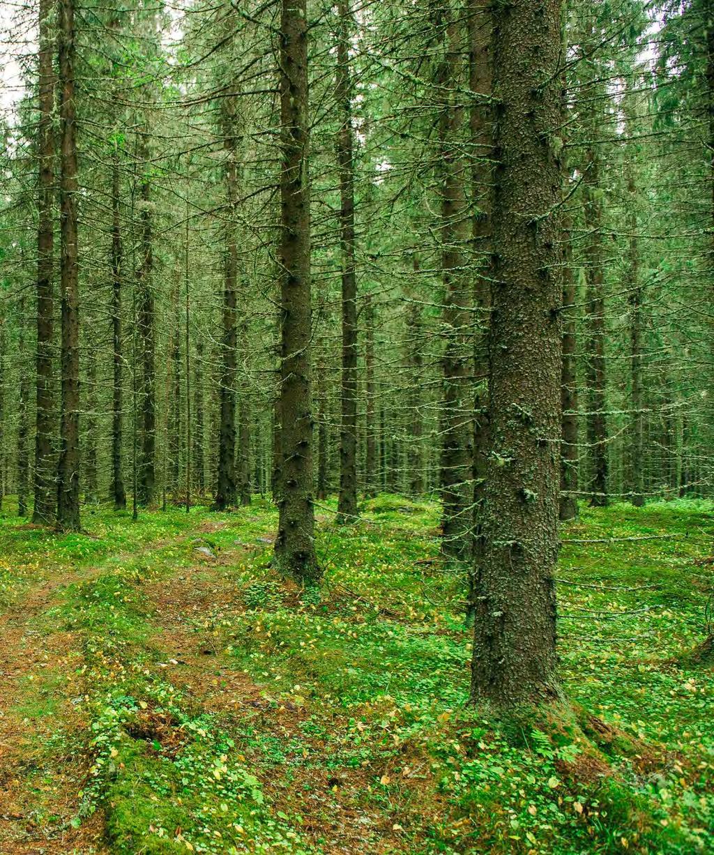 Kiitos!