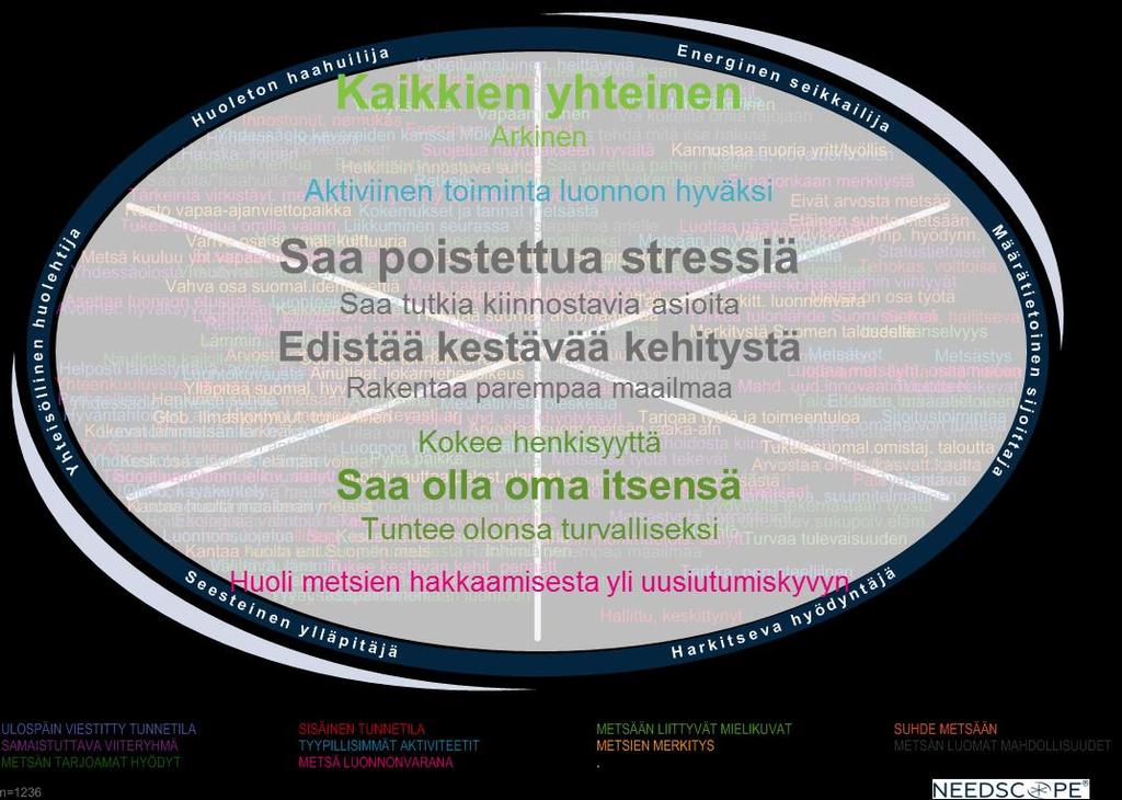 Kaikissa metsäsuhteissa ilmenevät yleiset elementit Selvityksessä löydettiin tekijöitä, jotka toistuvat kaikissa metsäsuhteissa.