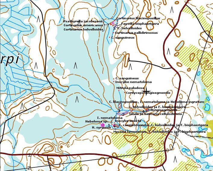 Kartta 2. Merkittävimmät sieniesiintymät (punaiset pisteet). Mahdollisissa toimenpiteissä huomioitavia paikkoja merkattu violetilla ja numeroitu:.