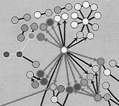 analysis 11 Protein network analysis RN transcript 9 Cluster
