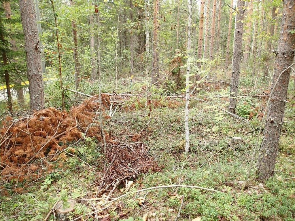 Taustalla lapion kohdalla hautarakenteen luoteispää.