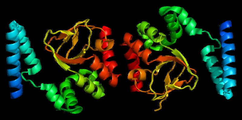 HCN1 ionikanava (hyperpolarization-activated cyclic nucleotide-gated