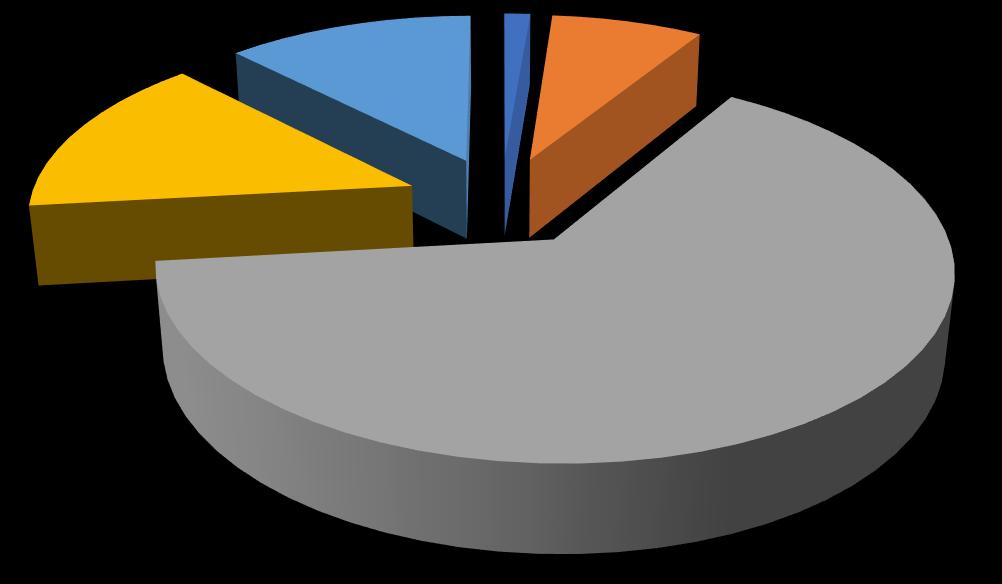 Perustiedot henkilöstöstä Siviilit; 15 % RVL:n