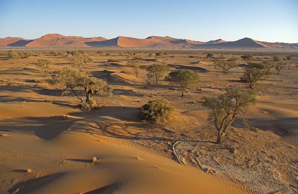 Su 8.9.2019 Mariental (A, P) Aamulla ennen aamiaista teemme ensimmäisen safariretken puu- ja pensassavannien sekä matalien punaisten hiekkadyynien värittämään autiomaahan.