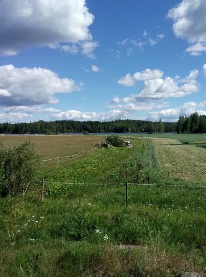 Heinijoessa fosforipitoisuudet ovat korkeimmillaan kesällä otetuissa näytevesissä. Peräjoen ja Heinijoen ravinnepitoisuudet ovat enimmäkseen samalla tasolla.