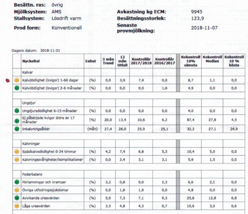 Sisältöä Vasikat Kuolleisuus 1-60 pv Kuolleisuus 2-6 kk Nuorkarja Kuolleisuus 6-15 kk Aloittamattomia hiehoja > 17kk Poikimaikä