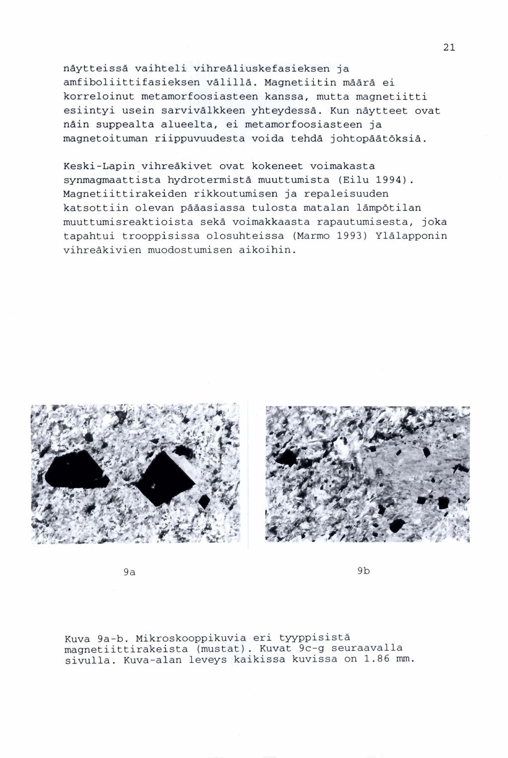 naytteissa vaihteli vihre&liuskefasieksen ja amfiboliittifasieksen valilla. Magnetiitin maara ei korreloinut metamorfoosiasteen kanssa, mutta magnetiitti esiintyi usein sarvivalkkeen yhteydessa.