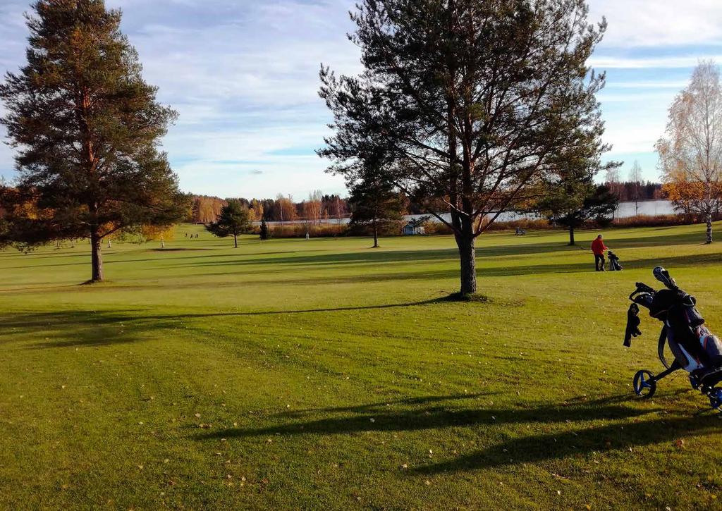 Puheenjohtajan tervehdys KANSALLINEN GOLFVIIKKO Mun tapa pelata 9.-16.6.2019 Tämä kausi alkoi varhain, koska saimme pelata jo huhtikuussa.