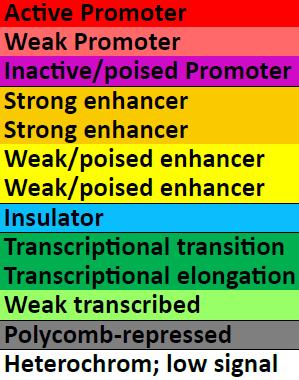 annotation track for each cell type Summarize