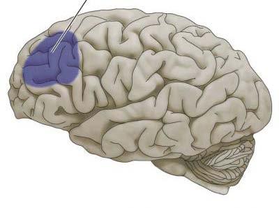 in 1000s regulatory regions: hypermethylation,