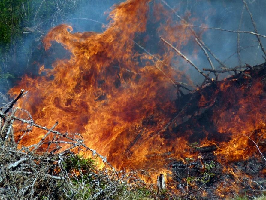 Metsäpalovaara kasvaa Suuren metsäpalovaaran päivien lukumäärä 1981-2010 2070-2099