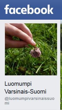 Luomumpi V-S hanke: Taulukko erilaisista markkinoilla olevista kierrätysravinteista.