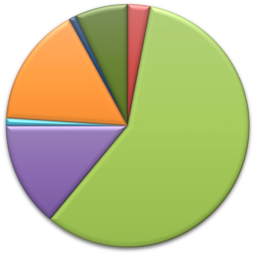 39 Terminen käsittely 1 % Kapselointi/eristys Pesu 7 % 0 % Välivarastointi 3 % Stabilointi 16 % Huokoskaasu /alipaine Hyötykäyttö sellaisenaan 58 % Kompostointi 14 % Kuva 24.