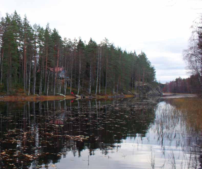 129 Elämää kylällä luonnehditaan rauhalliseksi ja turvalliseksi. Asuinpaikan turvallisuus mainitaan neljä kertaa, aina tarkemmin määrittelemättä.