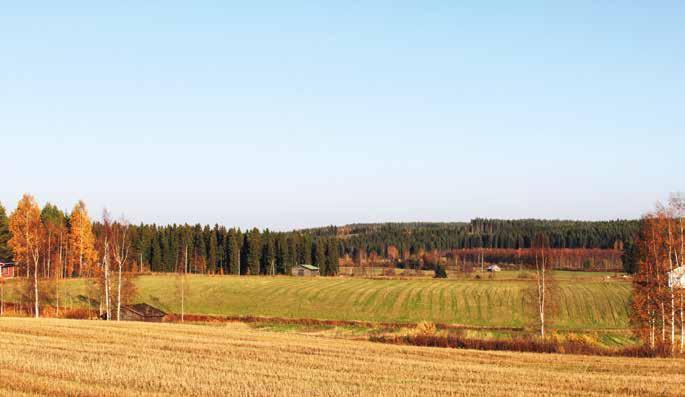 39 Töysän maasto on kumpuilevaa. Kuva: Janne Vuorela. jokien vallitsemaa maisemaa. Tää itäinen yks kolmannes on Suomenselän aluetta, jossa on vaihtelua tosi paljon.