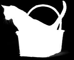 Lisää tarjouksia Tohtori Tolosen Karnosiinista ja D-vitamiinista Hae huhtikuun tarjouskatalogi kaupastamme! Liikkeessämme saat palvelua myös suomen kielellä Avda Los Boliches (bussikatu) 109, Edif.