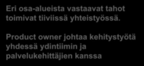 designer) Sisältövastaava (Content Lead) Tuoteomistaja (Product owner) Päävastuullinen tekoälykouluttaja (AI Training Lead)