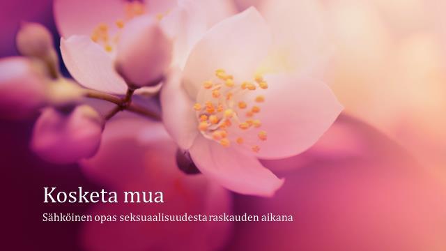 Liite 2 1(14)