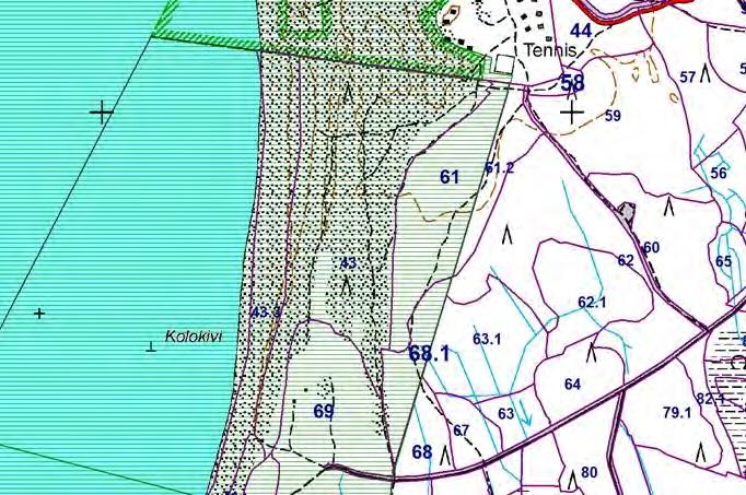 Hankealueen puusto Lomakylää suojaamaan jäävällä puustoisella Natura alueella sijaitsee 750 kappaletta mäntyjä, joiden pituus on keskimäärin 19 20 metriä (kuvat 17 18).