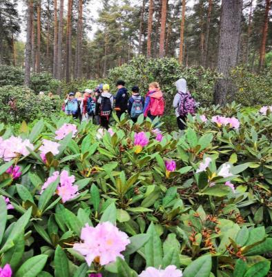 luontopolku Tokaluokkalaiset