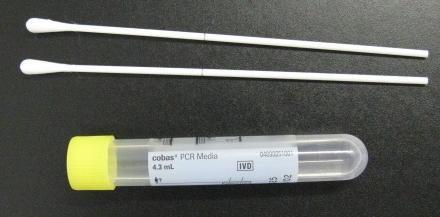 säilyy huoneenlämmössä 24 h 1 Chlamydia/Gc NhO PCR Female Swab Sample