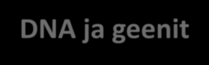 DNA ja geenit Esim. ihmisen jokaisessa solussa on 2 x 98 cm = 196 cm DNAta tästä n. 187 cm on intronialueita, hölynpölyä. Loput 9 cm (eksonit) sisältää 2 x ihmisenrakennusohjeet eli geenit.