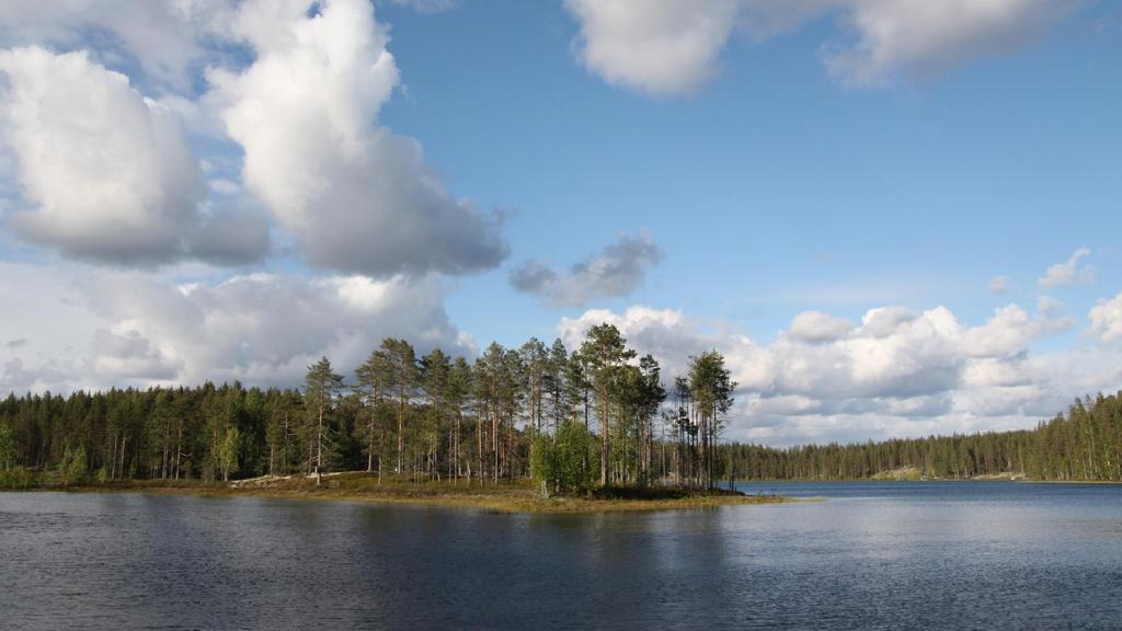 Kiitos!