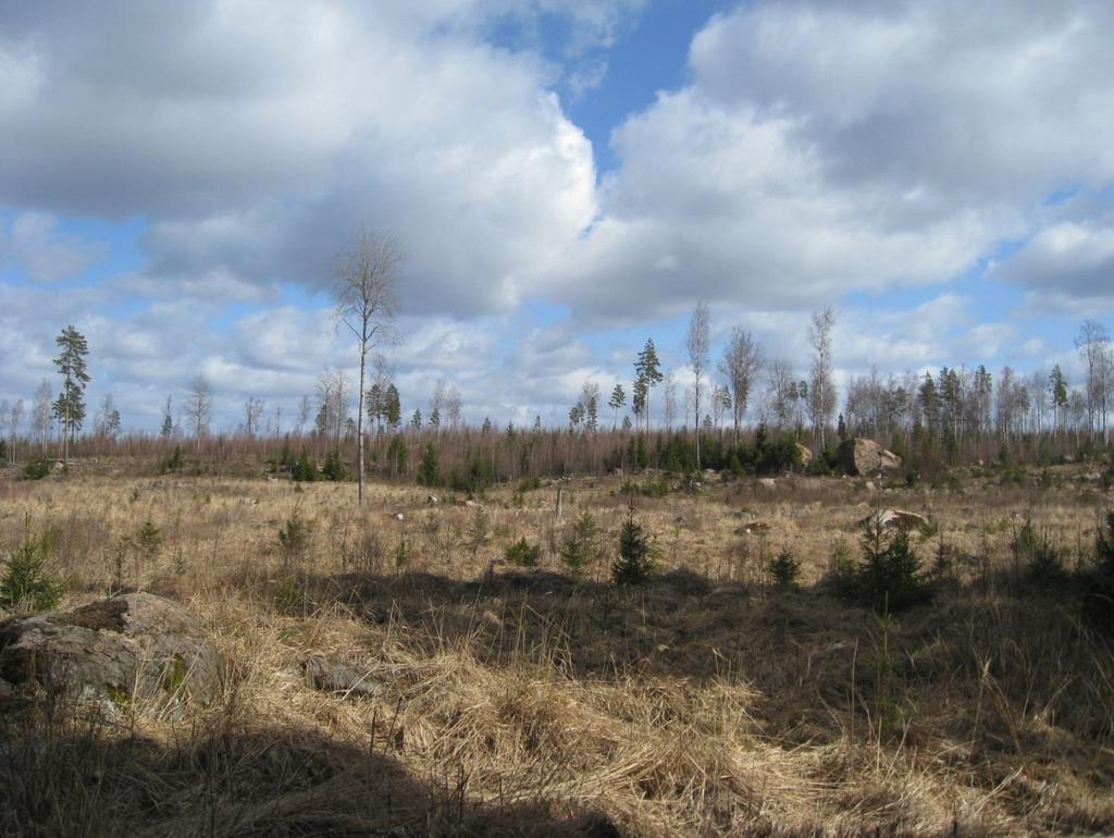 Tetomin tuulivoimahankkeen maisema- ja kulttuuriympäristöselvitys 7 Kuva 4. Kaava-alueen nykytilamaisemaa hakkuuaukealta kaava-alueen keskiosasta. Kuva otettu 8.4.2015. Kuva 5.