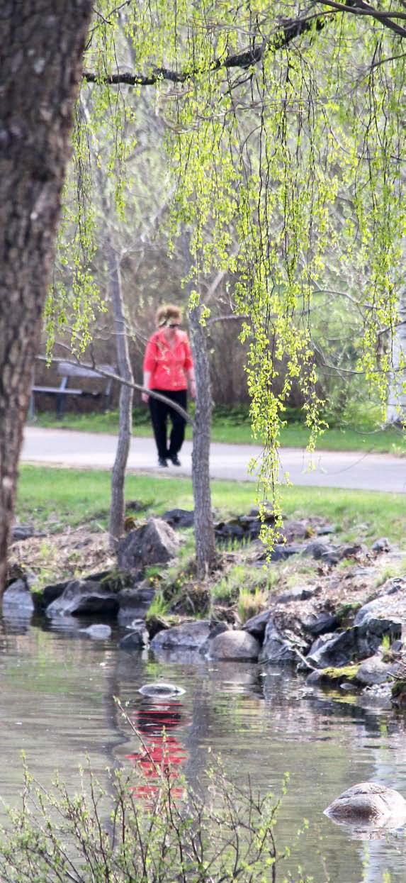 Esipuhe Päijät-Hämeen liikennejärjestelmäsuunnitelman päivitys on laadittu tilanteessa, jossa maailmanlaajuiset megatrendit muuttavat tapaamme ajatella arjen sujuvuutta ja liikkumisratkaisujamme.